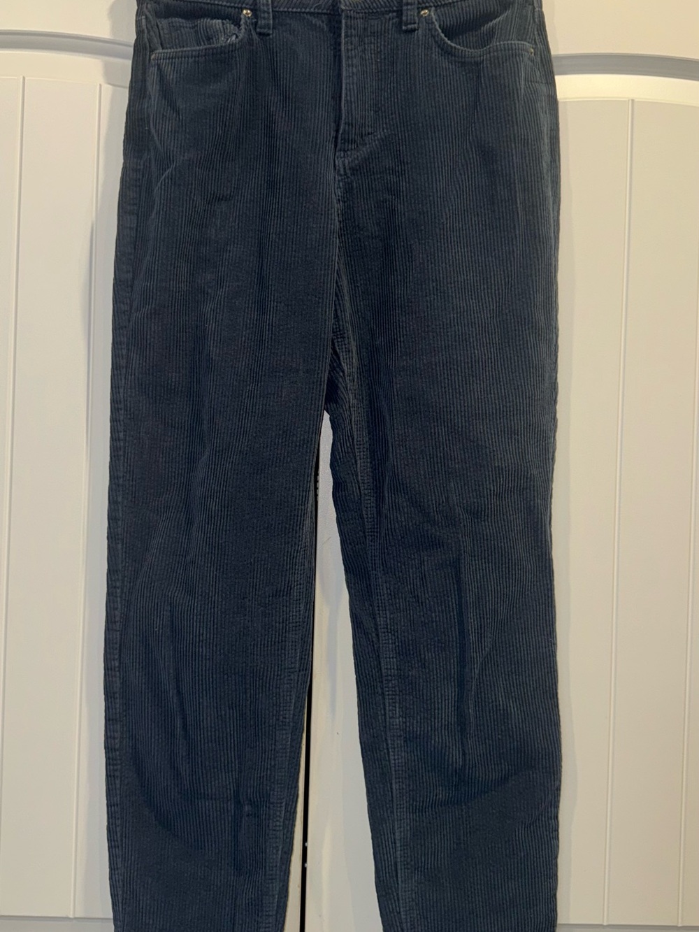 BDG Mom High-Rise Women’s Blue Corduroy Tapered Pants Pockets 29” 29